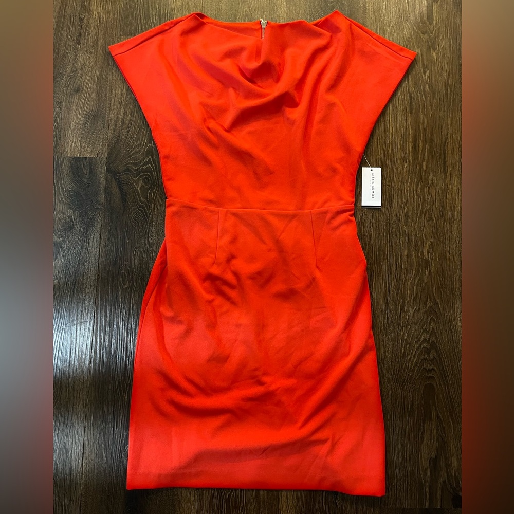 Alexia Admor Dress